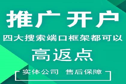 行业领先企业的SEM代理案例剖析